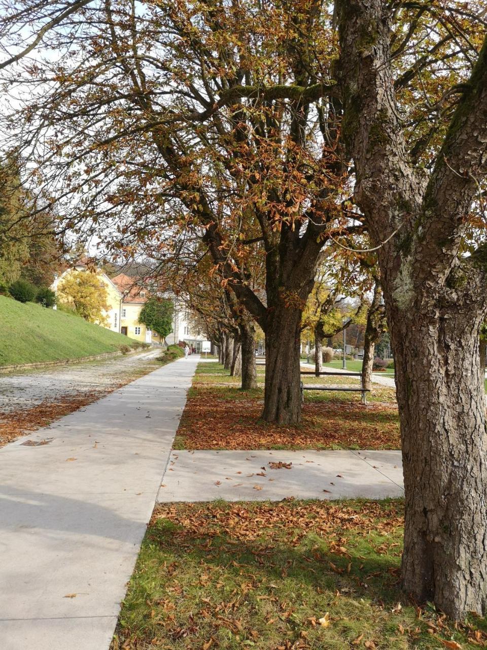 Apartments Soelek - Vila Golf Rogaška Slatina Екстериор снимка
